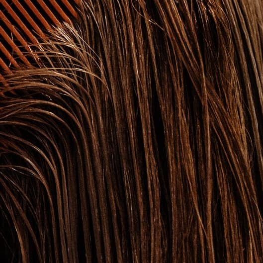 Color Package at Divine Hair Co. in Henrico, VA